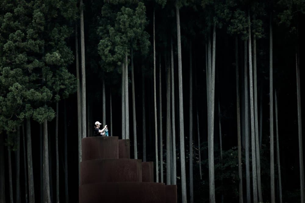 Contemplation Among Trees by Haruyo Sakamoto — canvas wall art