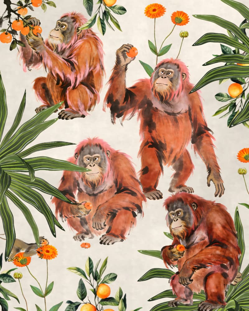 Tropical Orangutans and Oranges by Uma Gokhale — canvas wall art