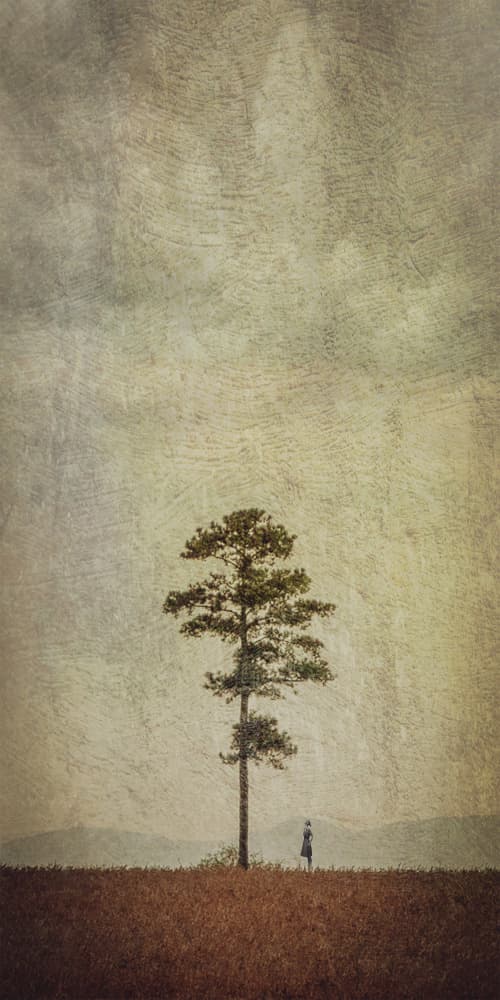 Solitary Tree Field by Evgenii Novichikhin — canvas wall art