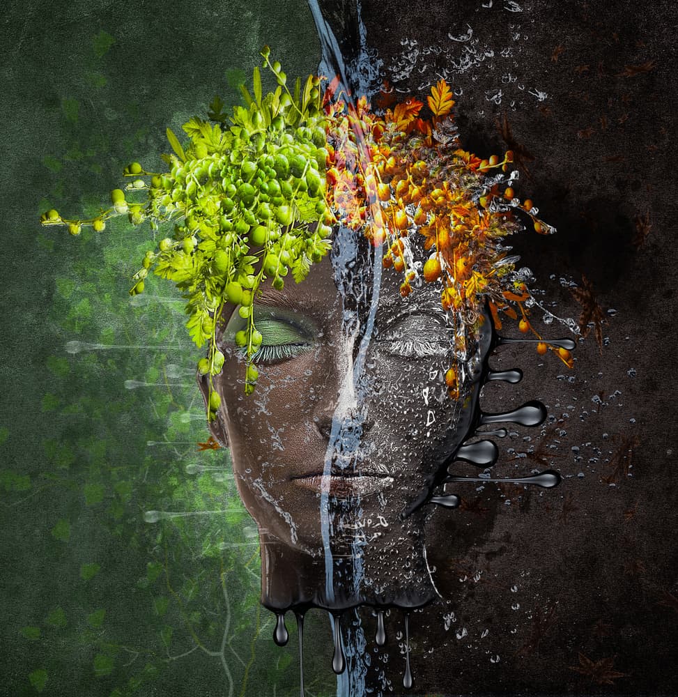 Metomorphosis by Natalia Simongulashvili   ( NATALIORION ) — canvas wall art