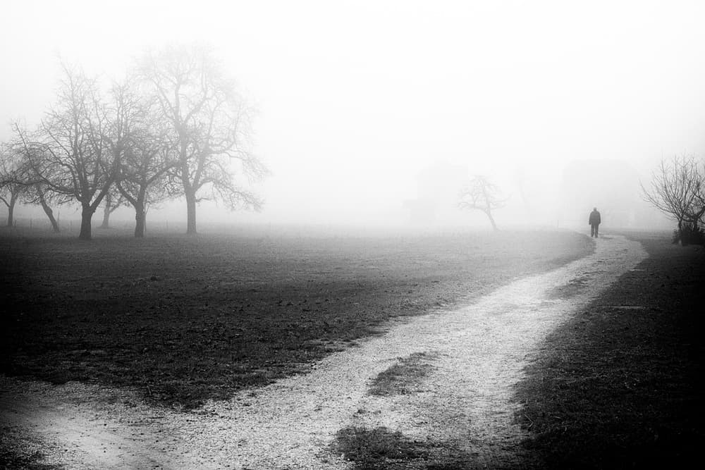 Solitary Figure Foggy Path by Jurij Bizjak — canvas wall art
