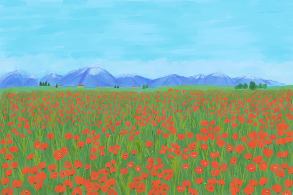 Vibrant Poppy Field by Aliya Putrus — canvas wall art