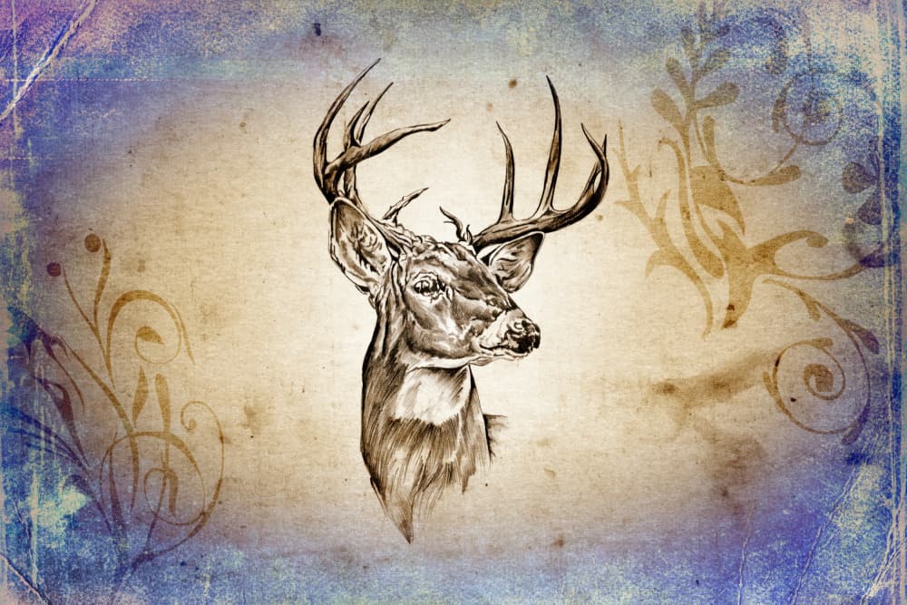 Vintage Deer Sketch by Rafal Kulik — canvas wall art