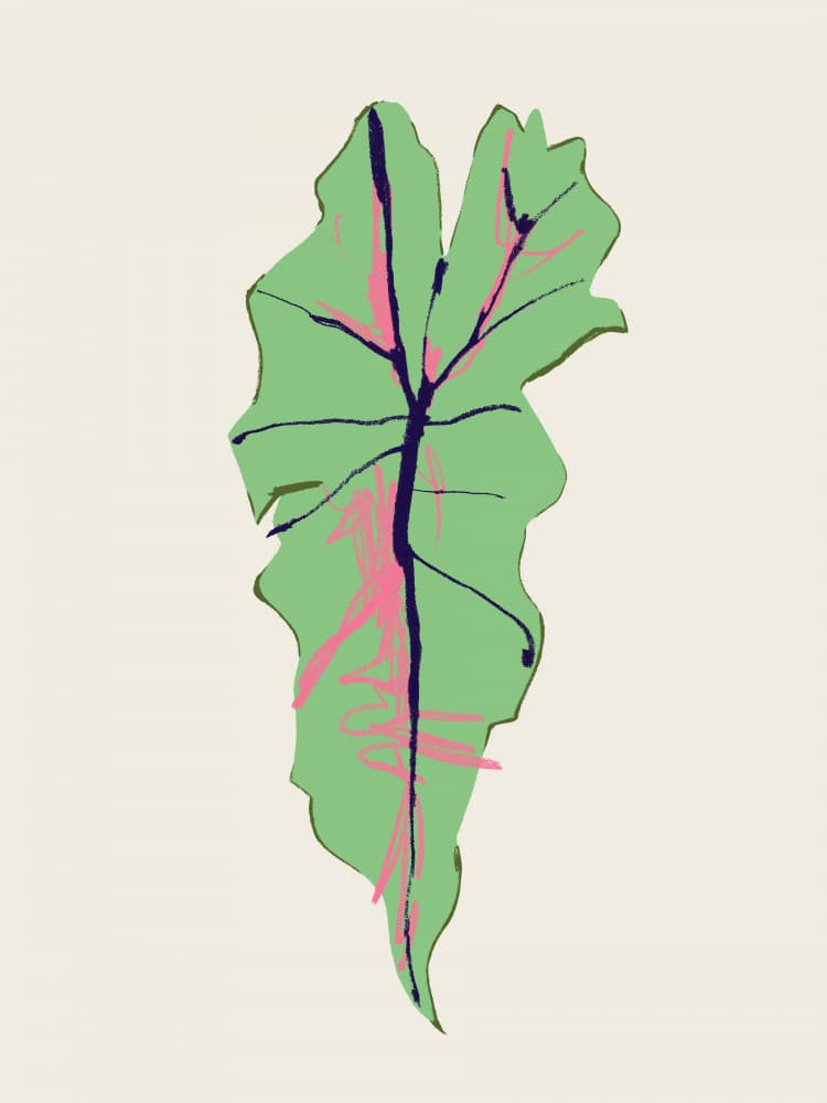 Pink Veined Green Leaf by Francesco Gulina — canvas wall art