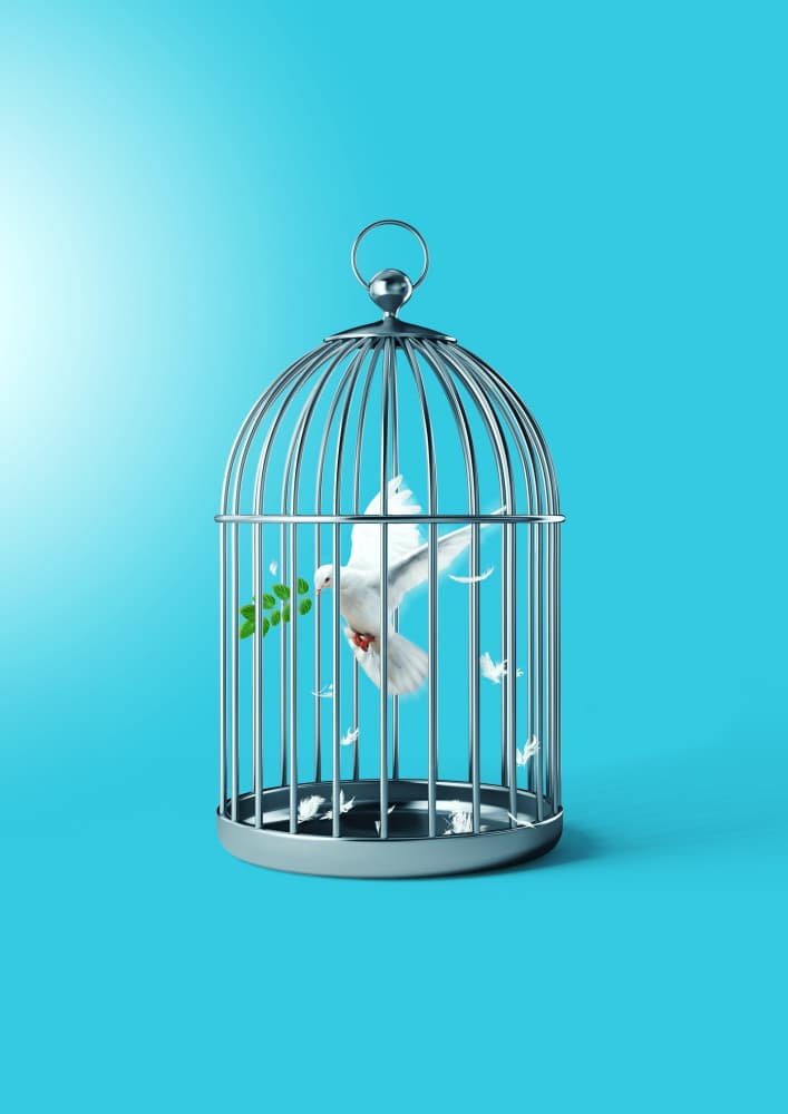 Dove Flies Free by Artem Pozdniakov — canvas wall art