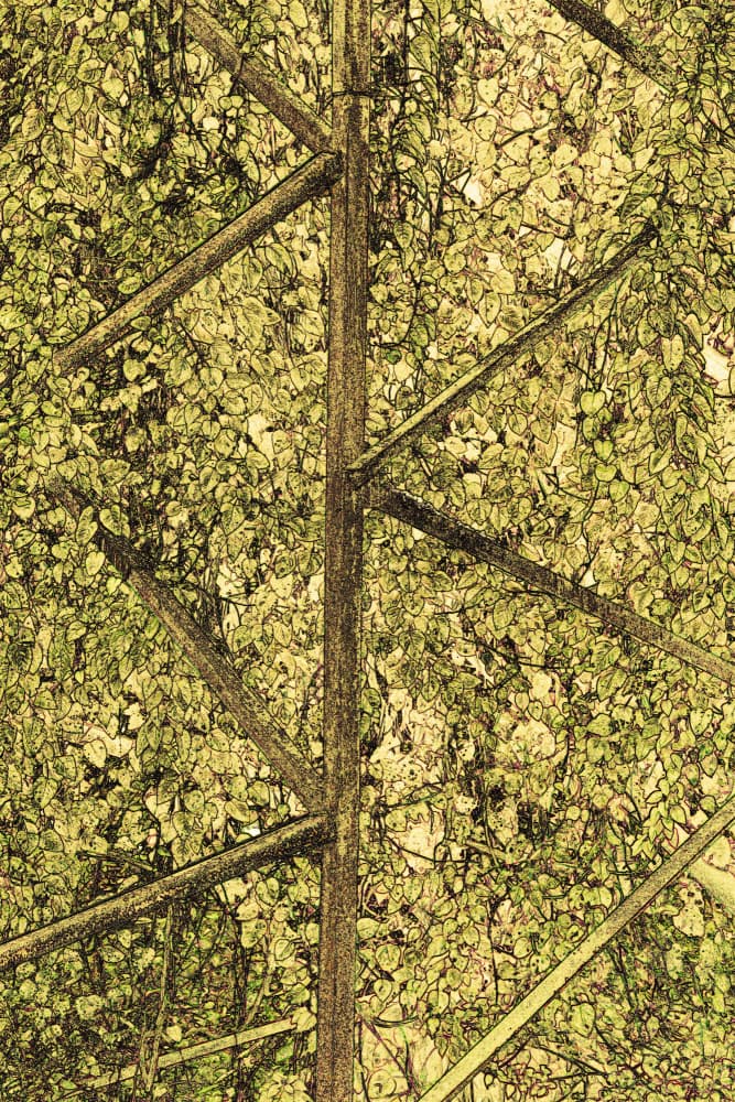 Forest Green Canopy by Santhosh ch — canvas wall art