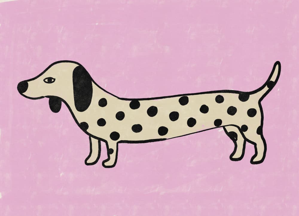 Cute Pink Dachshund by Nicholas — canvas wall art