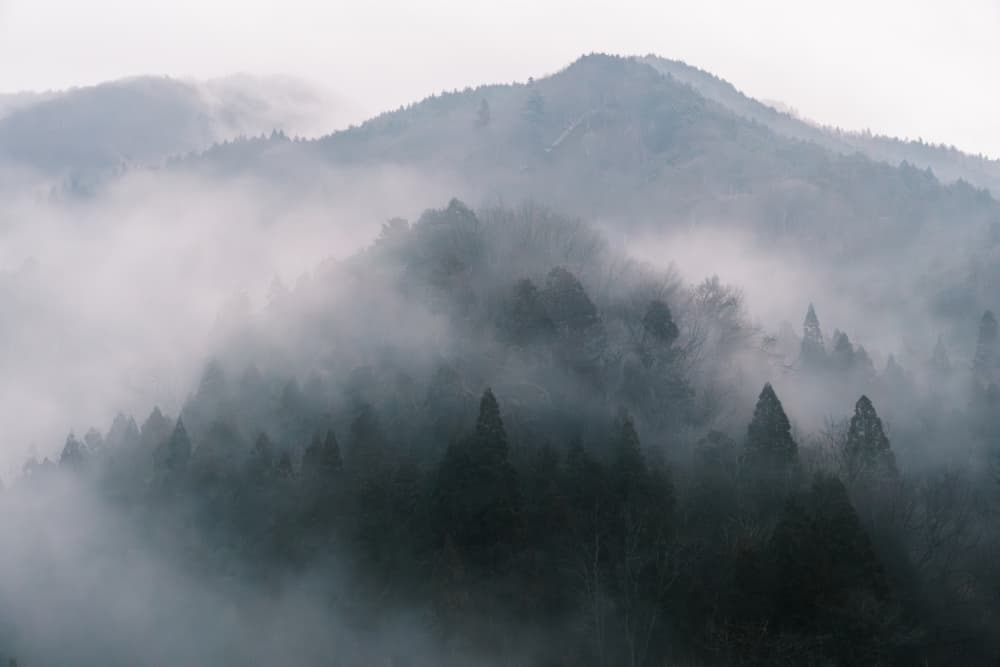 Misty Forest Mountains by 市岡弘光 — canvas wall art