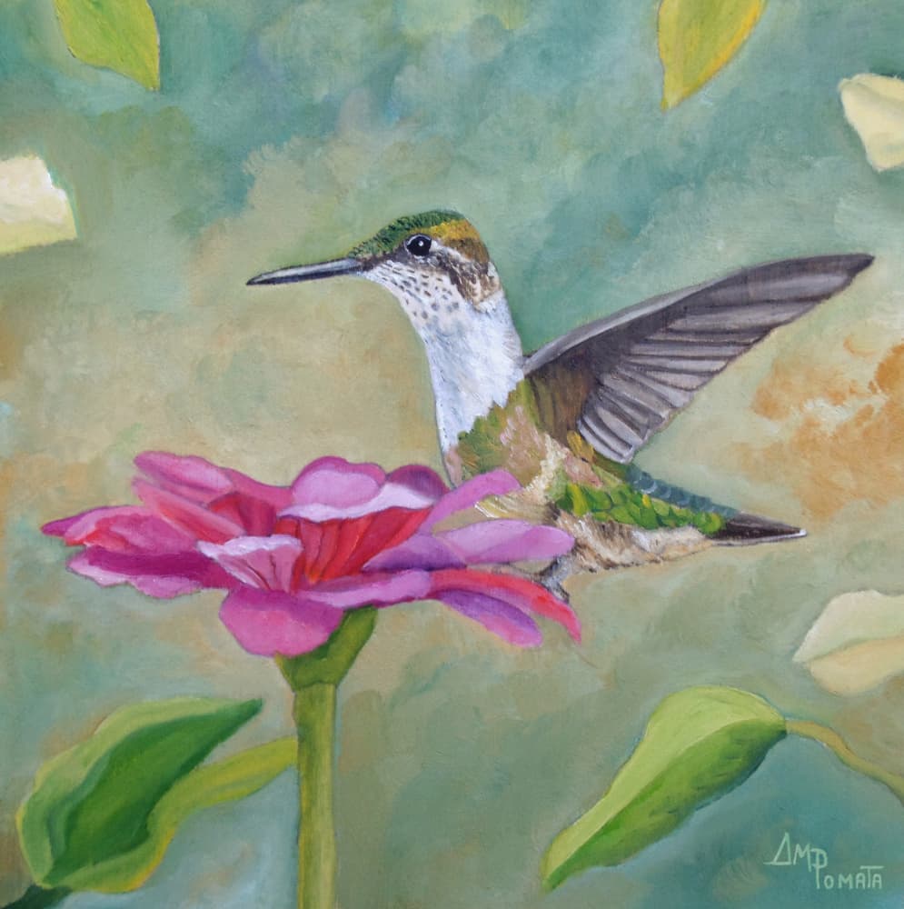 Vibrant Hummingbird Zinnia by Angeles M. Pomata — canvas wall art