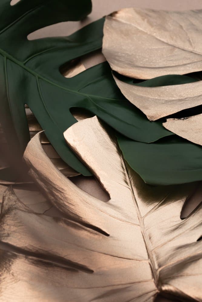 Golden Green Monstera by Pictufy Studio III — canvas wall art