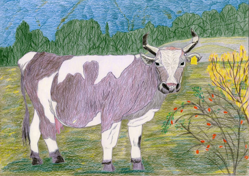 Spotted Cow Pasture by Viktoriia Saunina — canvas wall art