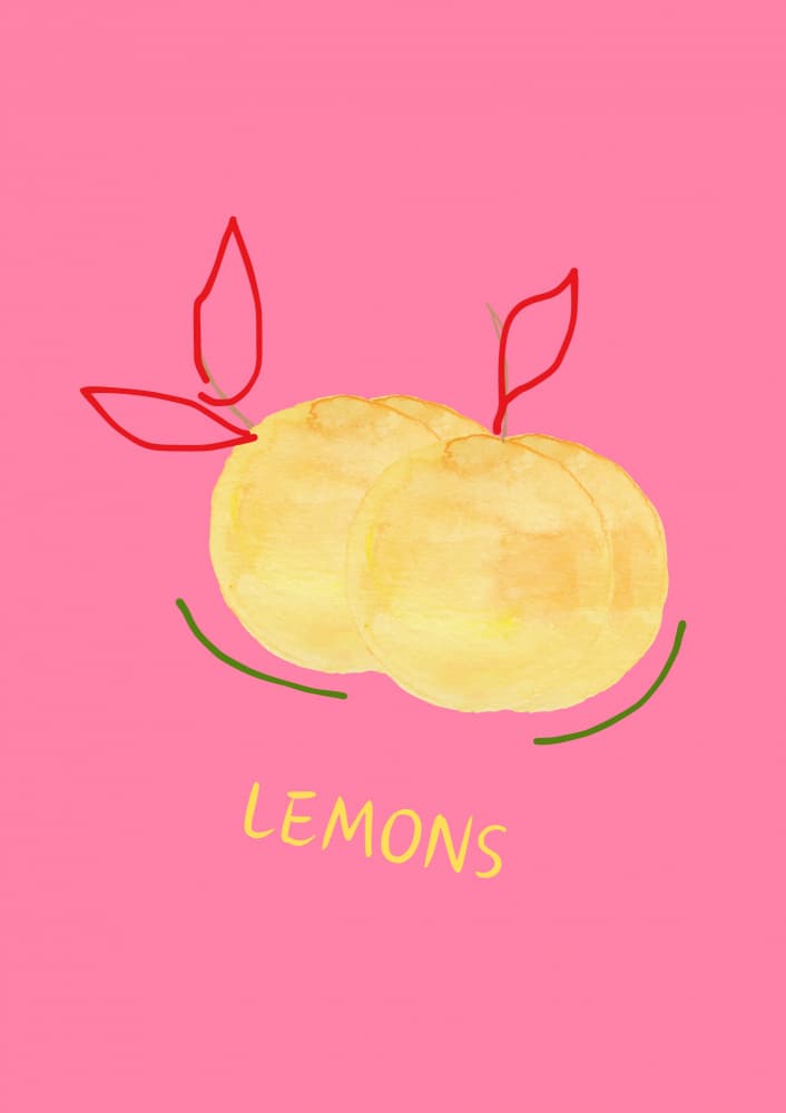 Vibrant Pink Lemons by ART of living — canvas wall art