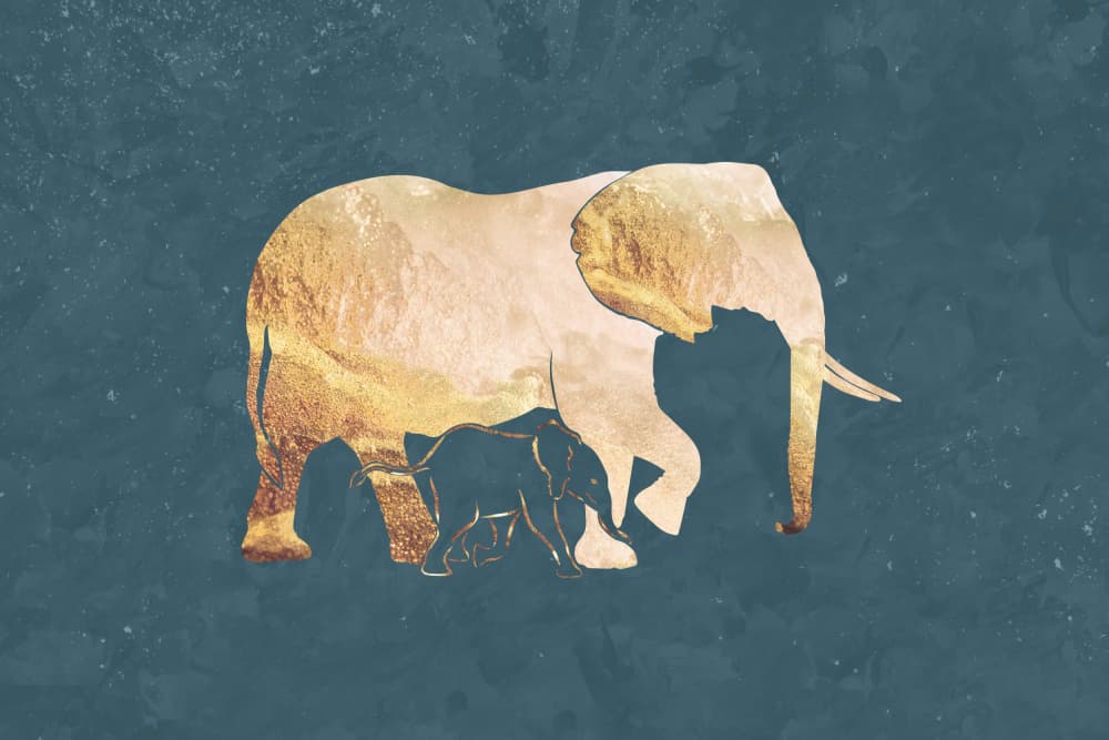 Golden Elephant Family by Sarah Manovski — canvas wall art