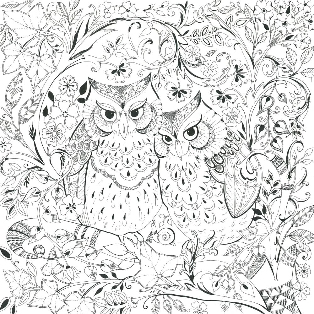 Whimsical Owls' Haven