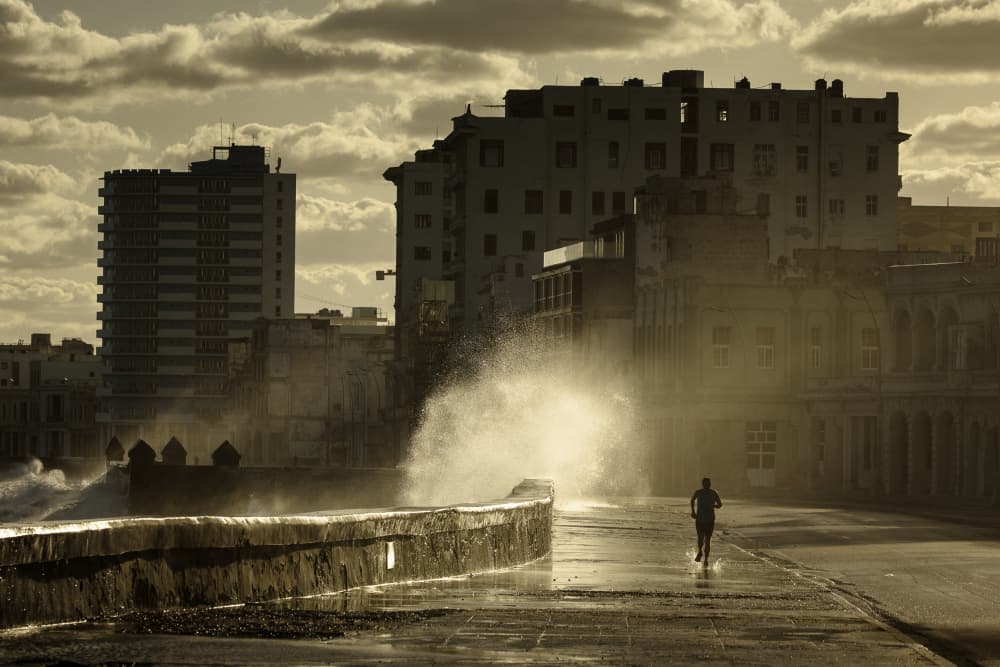 Dramatic Seawall Run by Dan Mirica — canvas wall art