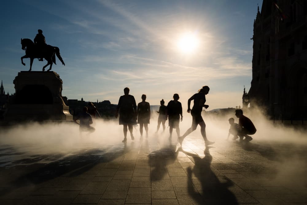 Golden Hour Mist Silhouettes by Tamas Dragon — canvas wall art