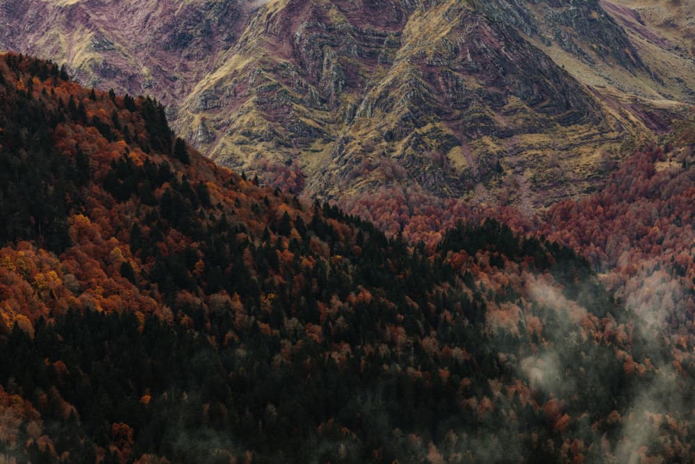 Misty Autumn Mountains by Javier Pardina — canvas wall art