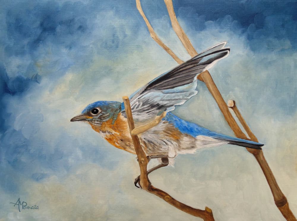 Bluebird Takes Flight by Angeles M. Pomata — canvas wall art