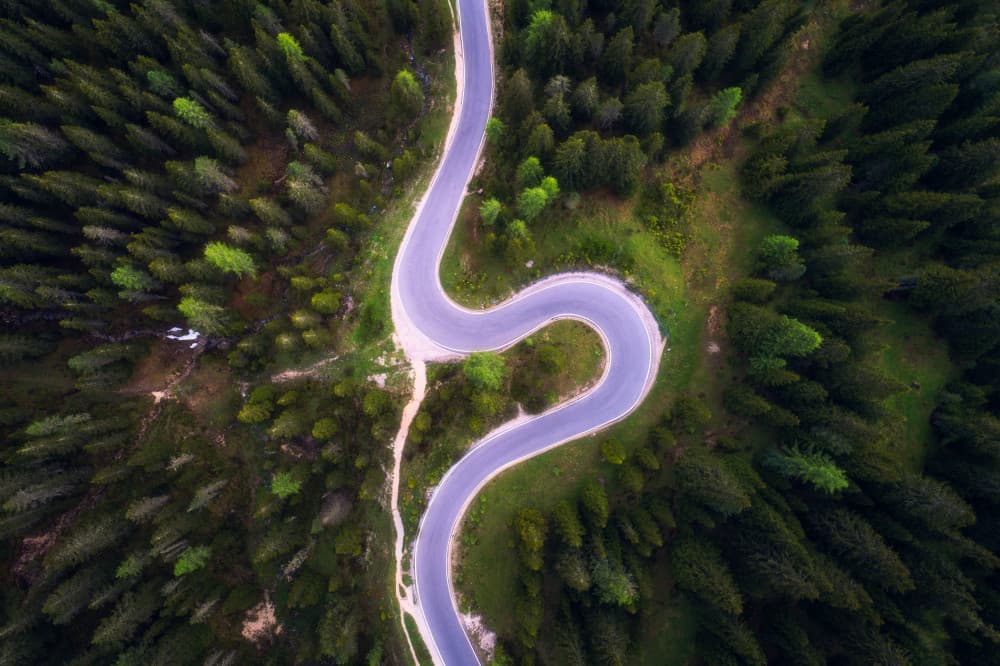 Winding Forest Road by Daniel Gastager — canvas wall art