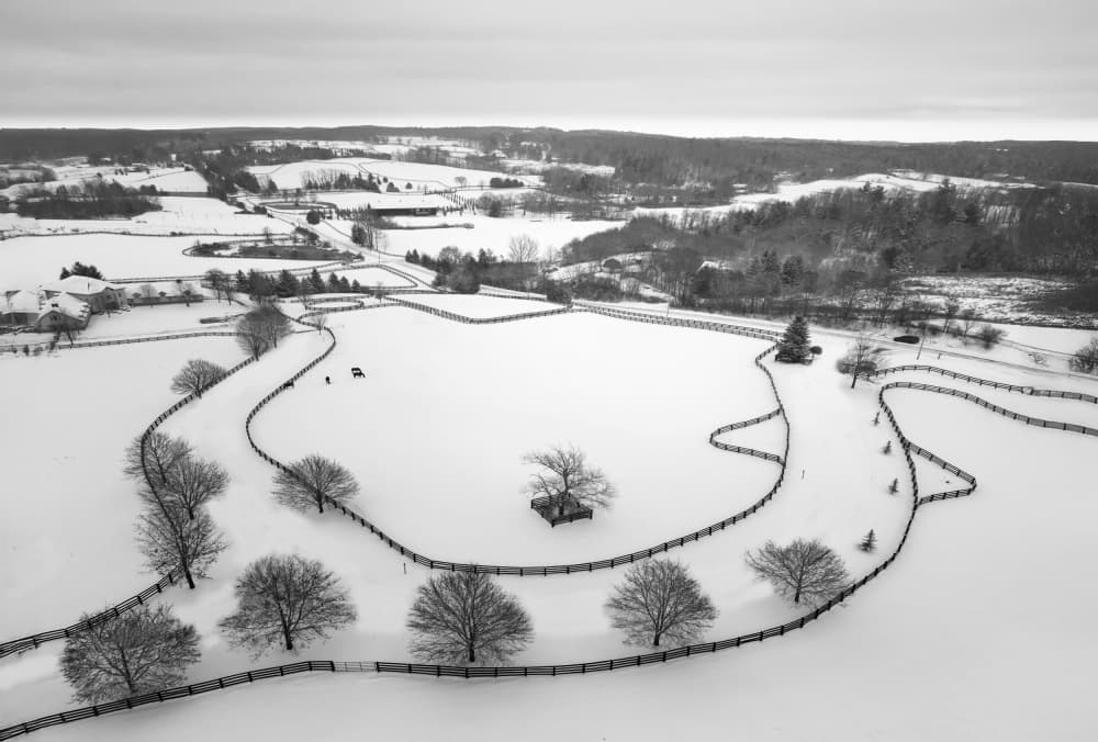Winding Winter Path by Larry Deng APA — canvas wall art