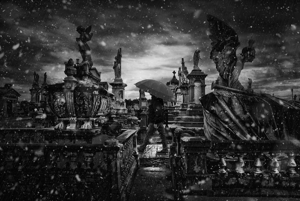 Snowy Cemetery Walk by Jose C. Lobato — canvas wall art