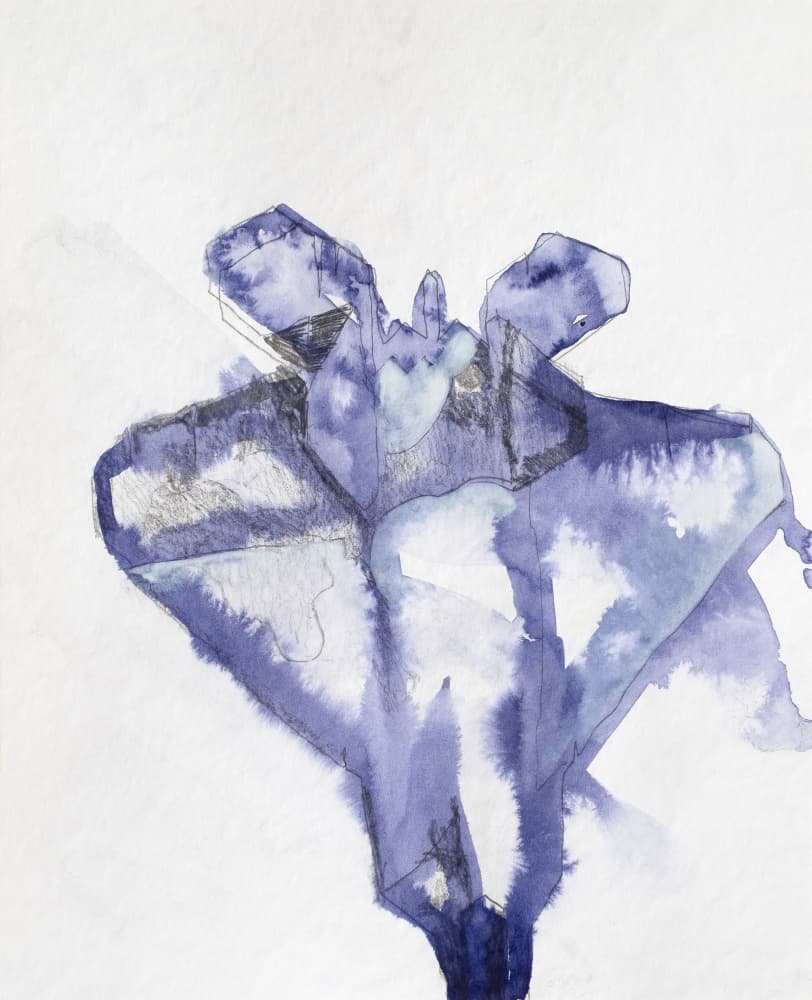 Indigo Floral Form by Joshua Hoskins — canvas wall art