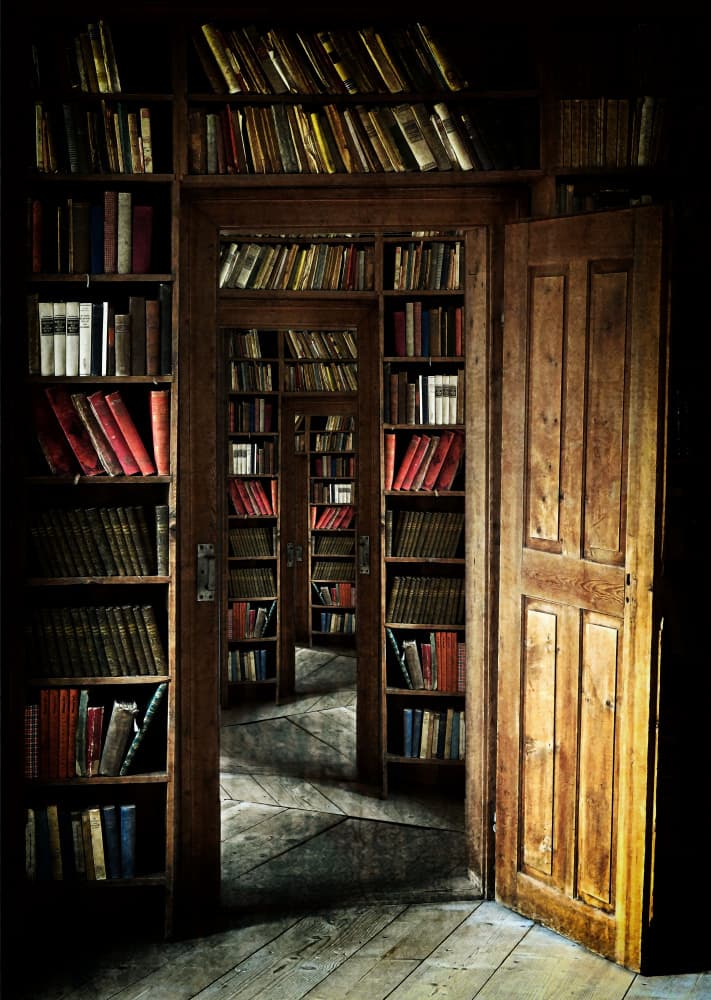 Endless Library Doors by Raffaele Corte — canvas wall art