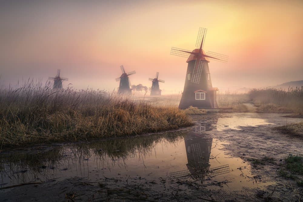 Misty Morning Windmills by Tiger Seo — canvas wall art