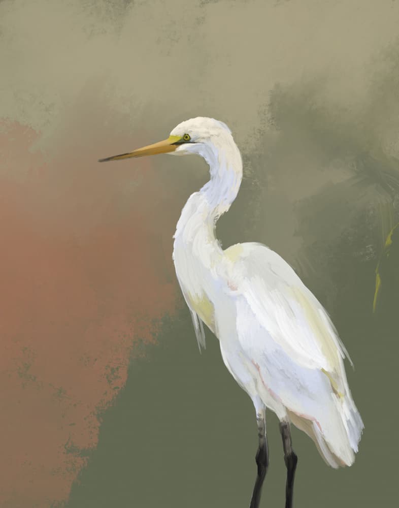 Elegant Egret Portrait by Josie George — canvas wall art