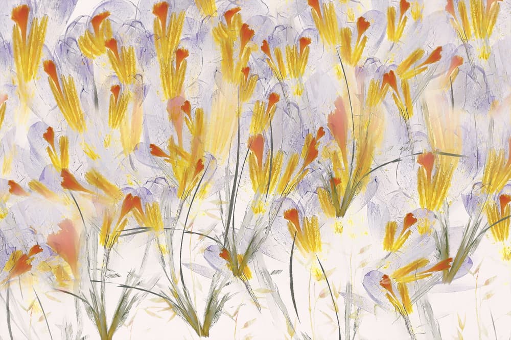 Spring feeling by Nel Talen — canvas wall art