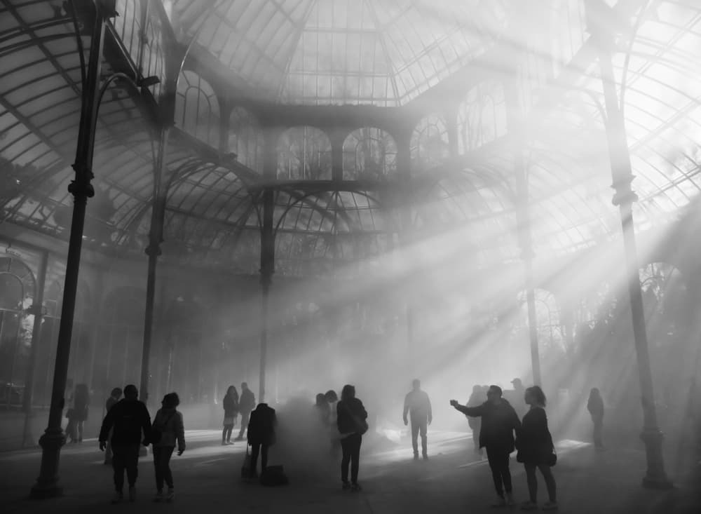 Misty Greenhouse Light by Adolfo Urrutia — canvas wall art