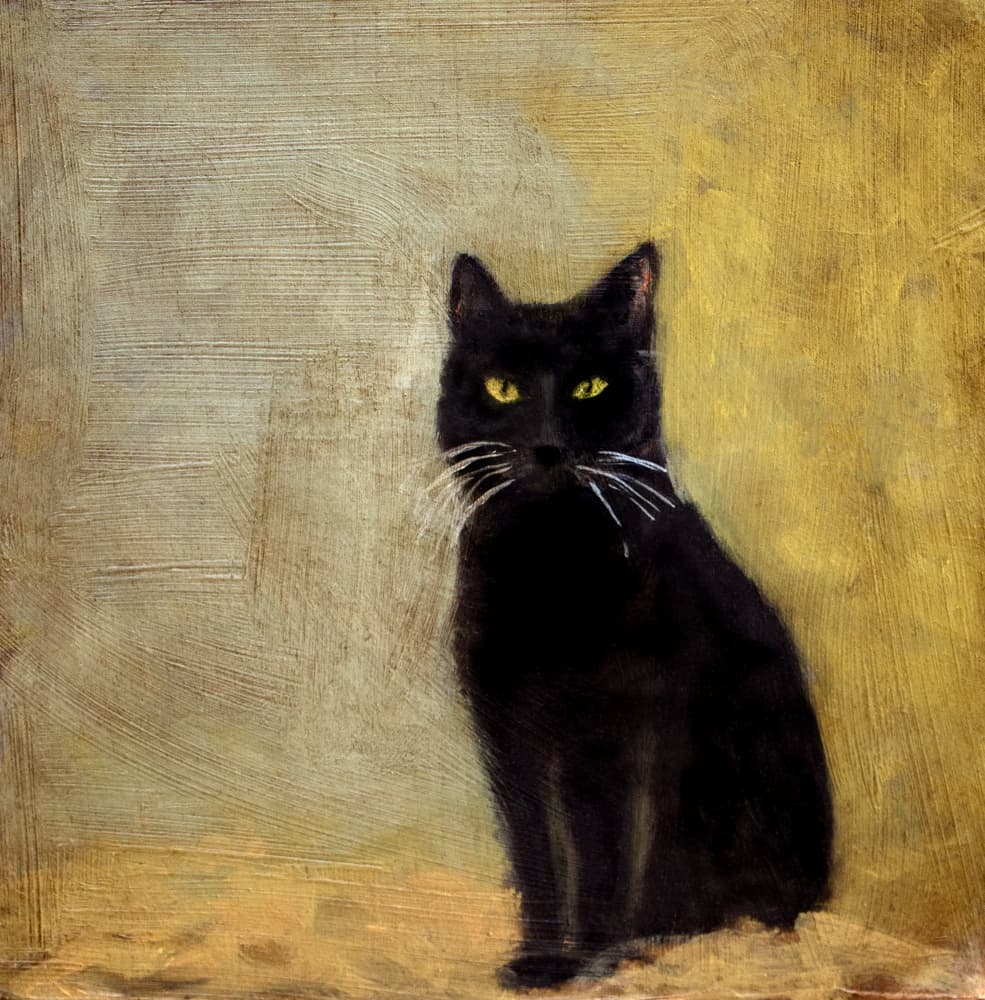 Pua Cat by Claire Lerner — canvas wall art