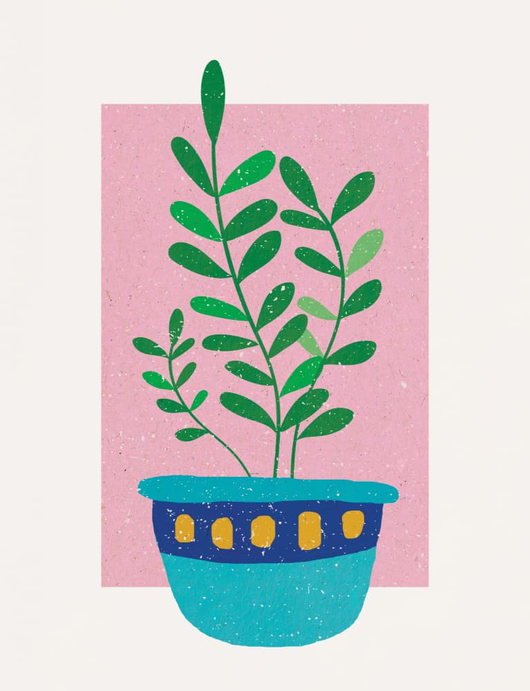 Fresh Potted Houseplant by Aylin Demir — canvas wall art