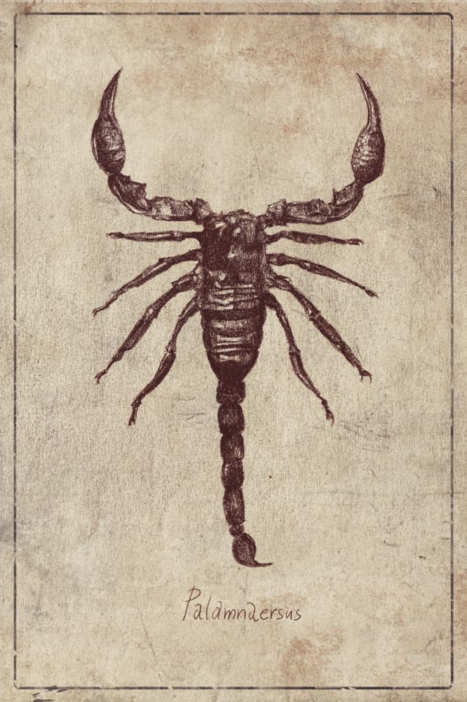 Palamnaersus Specie by Mike Koubou — canvas wall art