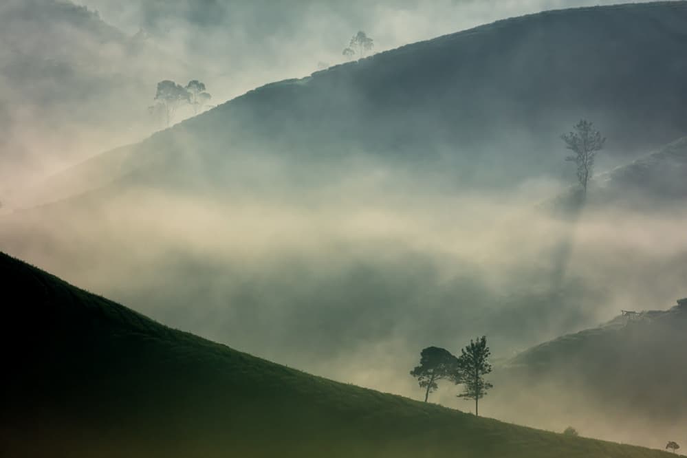 Misty Morning Hills by Gunarto Song — canvas wall art