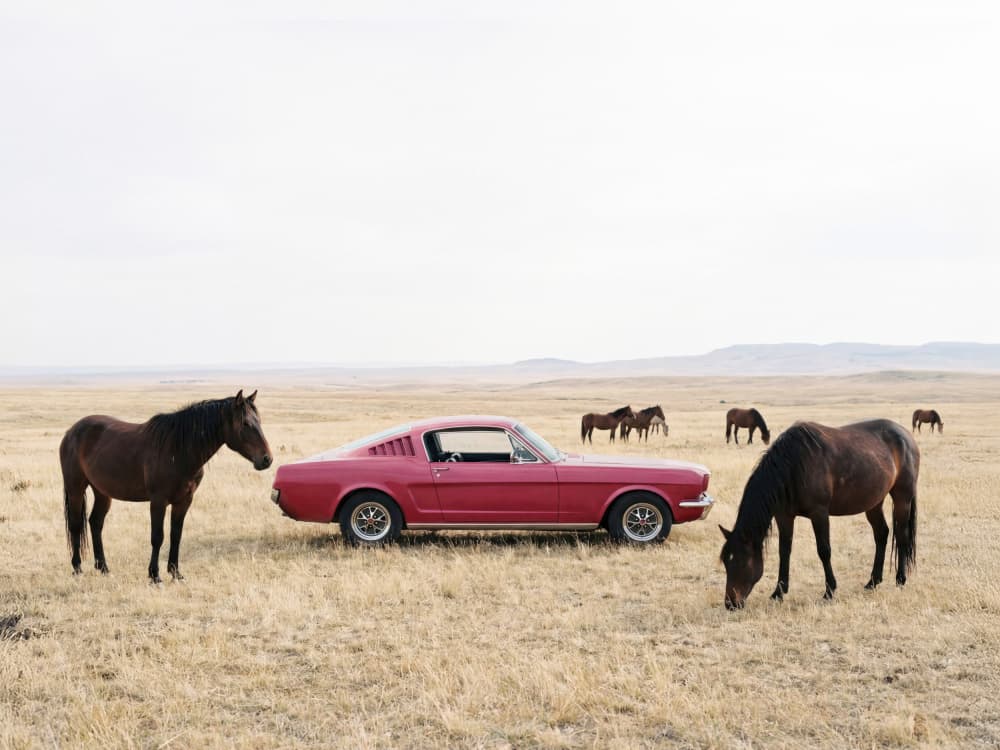 Wild Plains by Kathrin Pienaar — canvas wall art