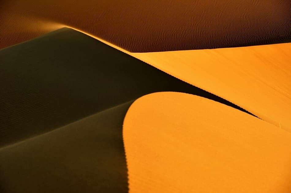 Golden Desert Dunes by Arash Karimi — canvas wall art