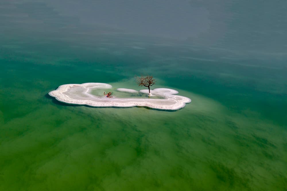 Dead Sea Island Tree by Eyal Amer — canvas wall art