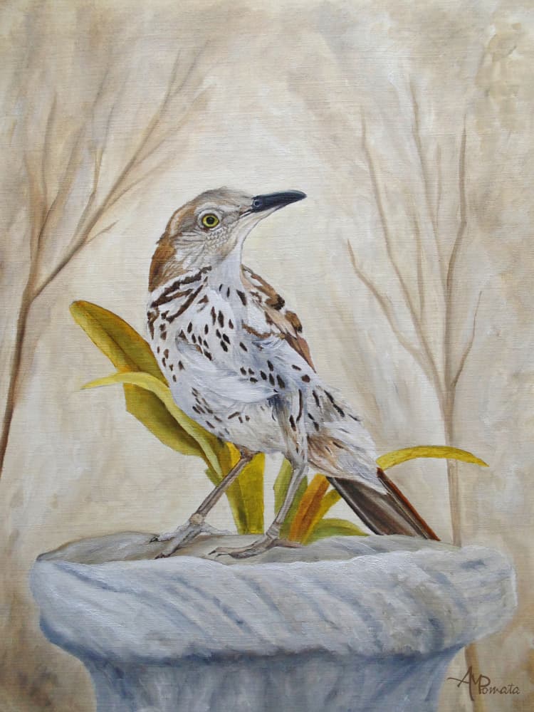 Peaceful Garden Thrasher by Angeles M. Pomata — canvas wall art