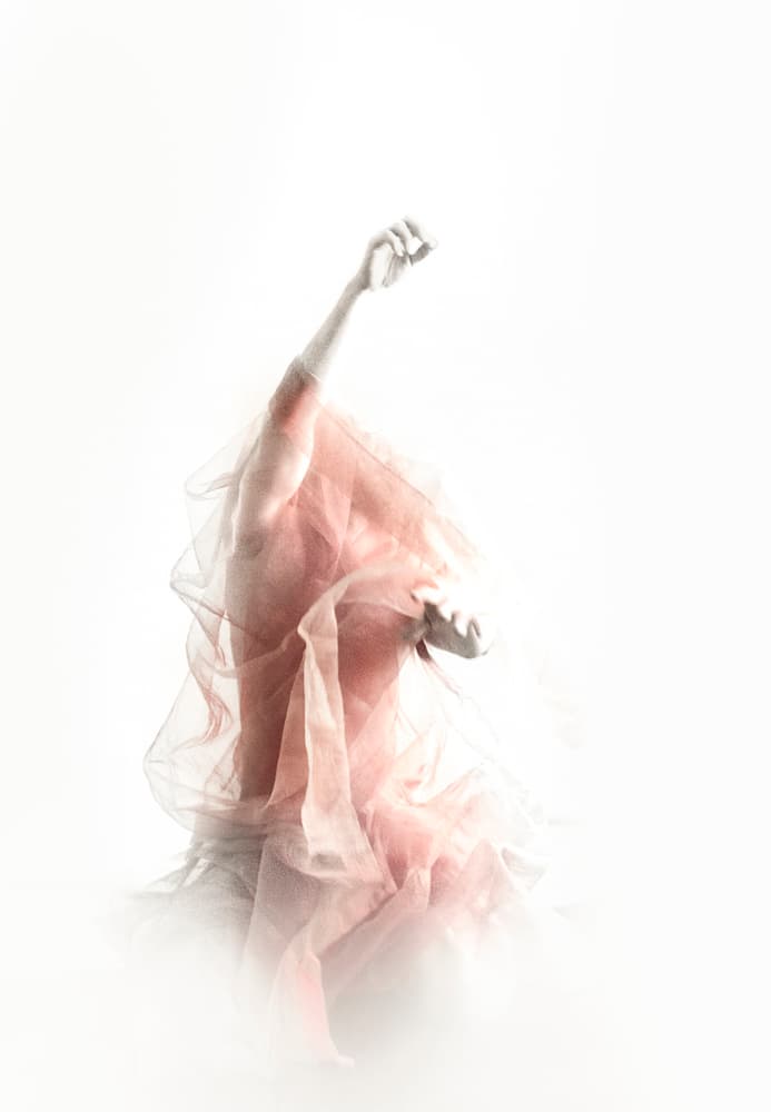 Flowing Pink Grace by Babak Haghi — canvas wall art