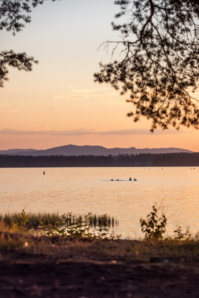 A Swedish Summer 2 by Mareike Böhmer — canvas wall art