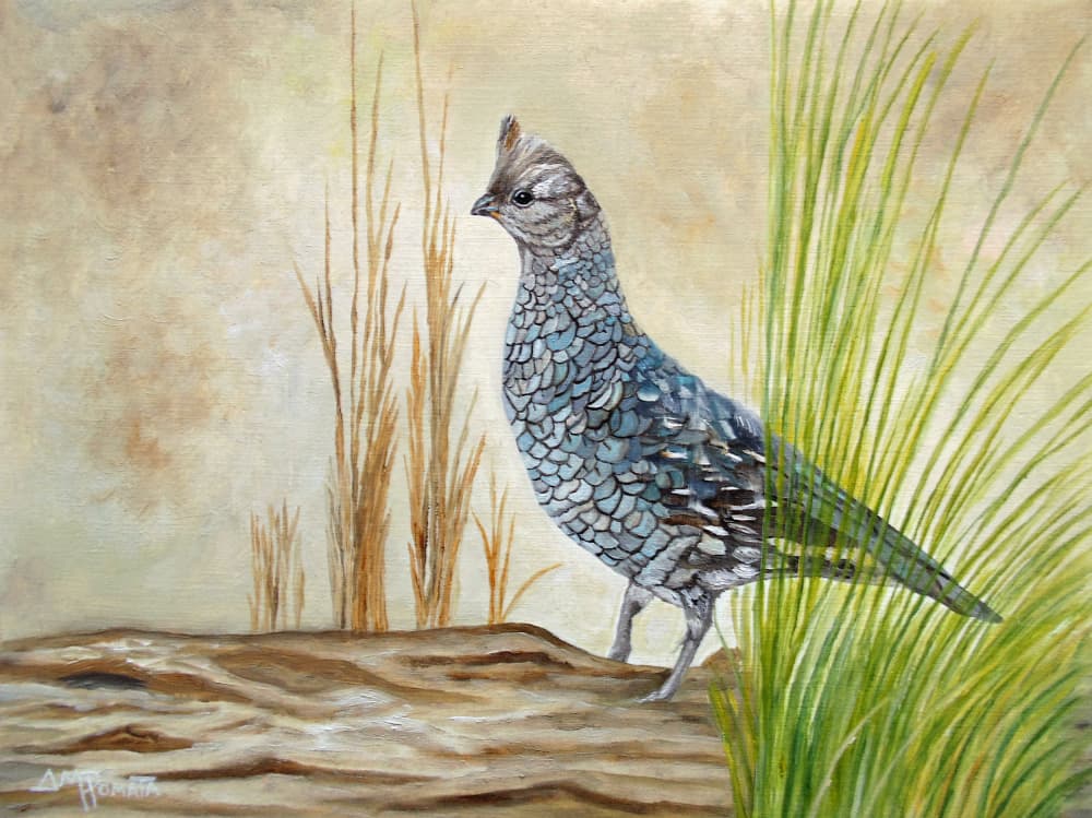 Ruffed Grouse on Log by Angeles M. Pomata — canvas wall art