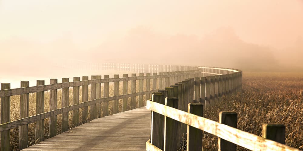 Golden Hour Boardwalk by Leif Løndal — canvas wall art