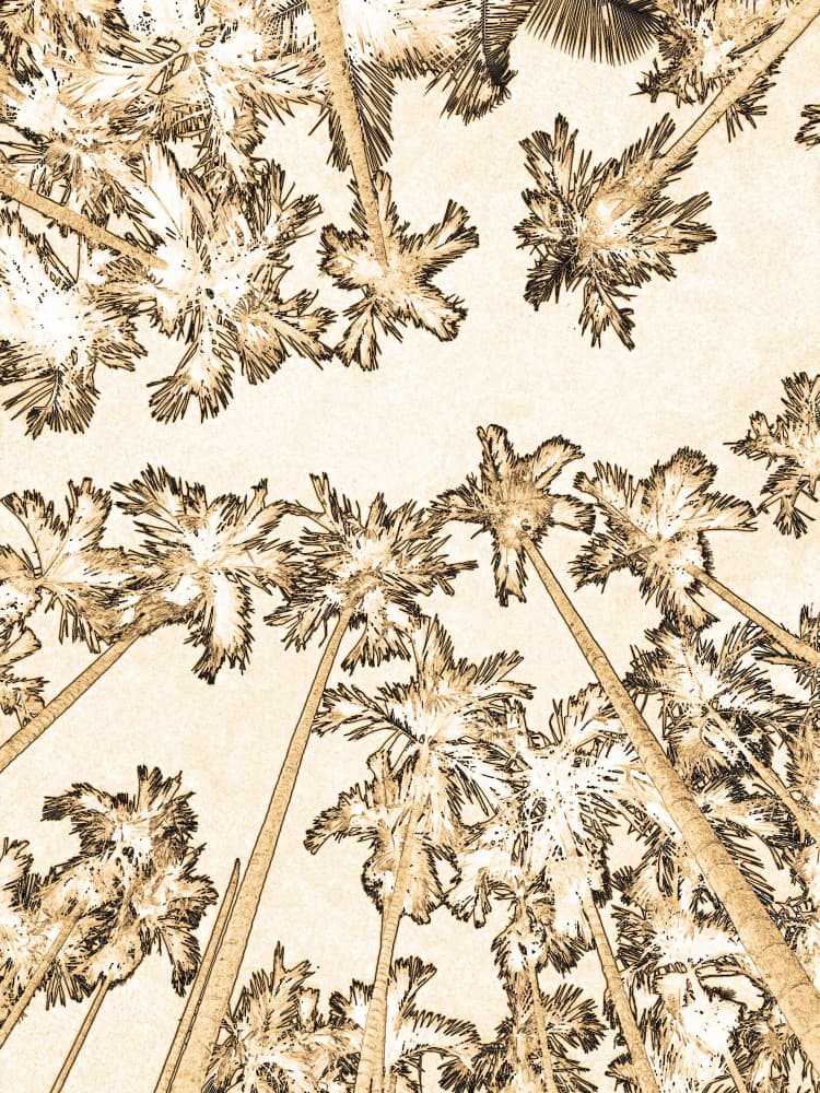 Golden Palm Trees by Santhosh ch — canvas wall art