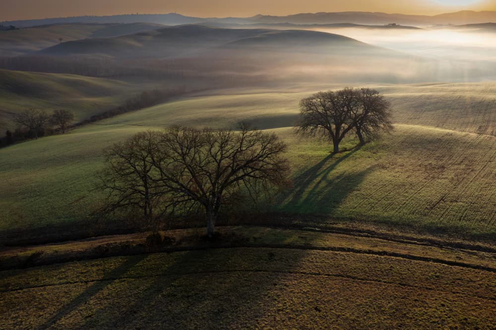 Misty Morning Hills by Jure Kravanja — canvas wall art