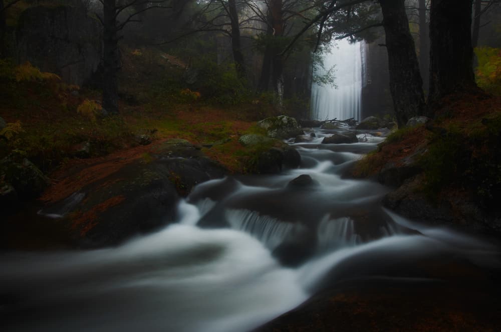 Misty Forest Stream by Sergio Cameno — canvas wall art