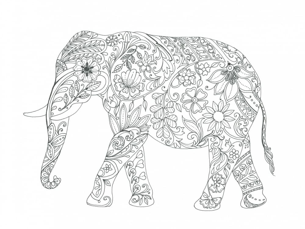 Floral Elephant