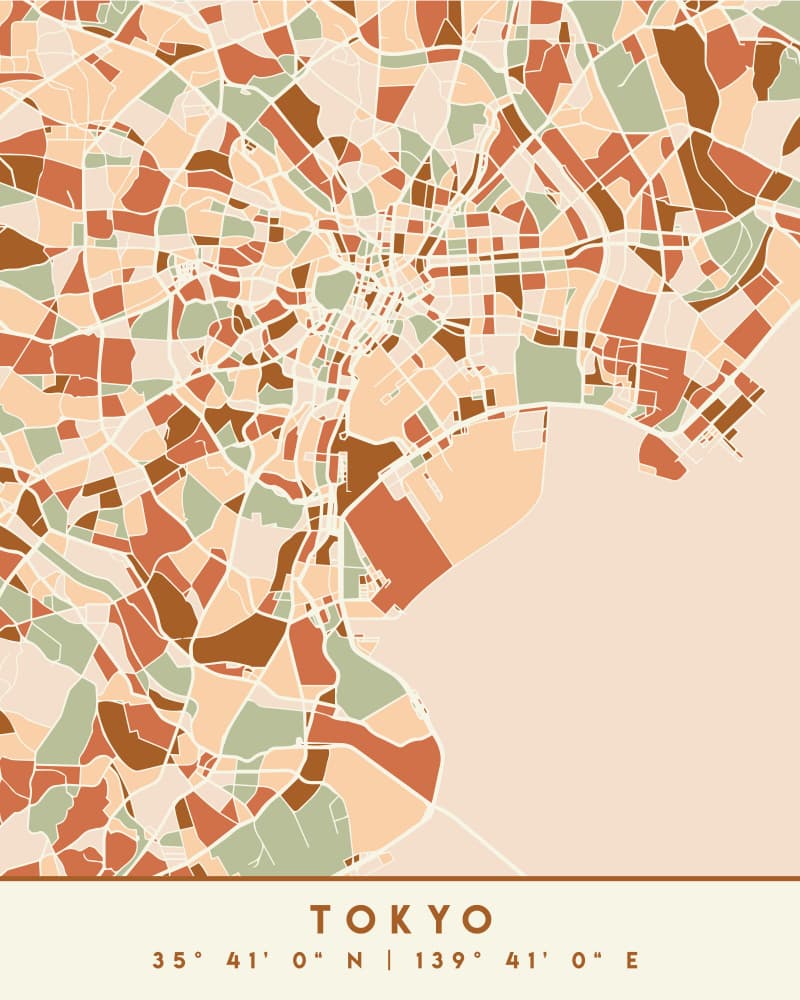 Tokyo Geometric Map by Emiliano Deificus — canvas wall art