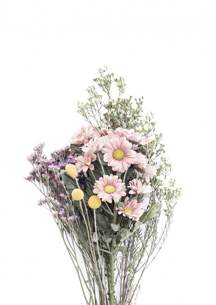 Wildflowers by Kathrin Pienaar — canvas wall art