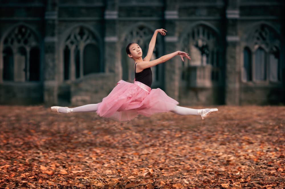 Autumn Ballet Flight by Vicki Lai — canvas wall art